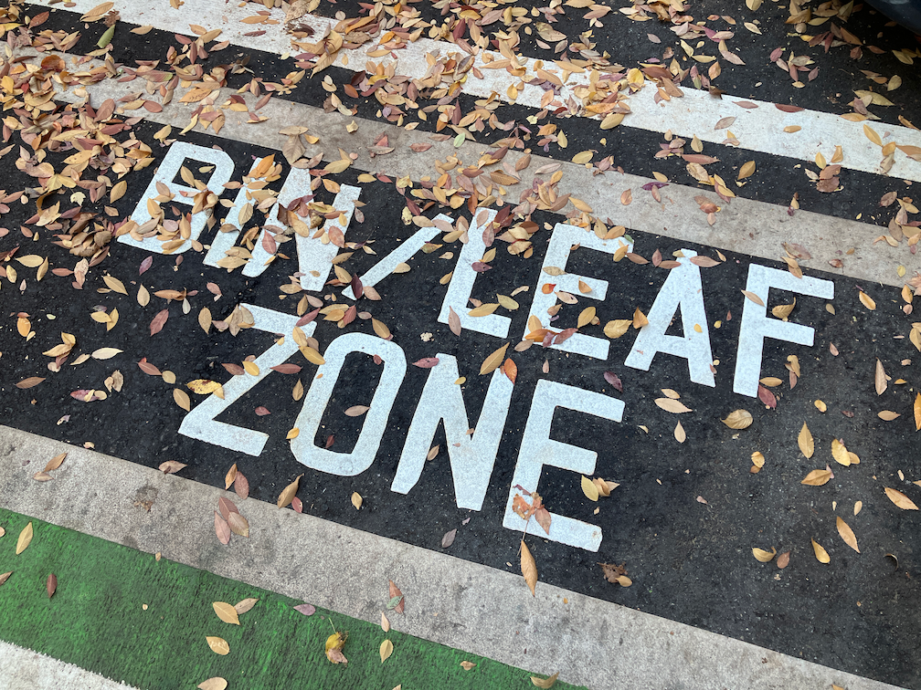 photo of bin/leaf zone stencil, P St separated bikeway
